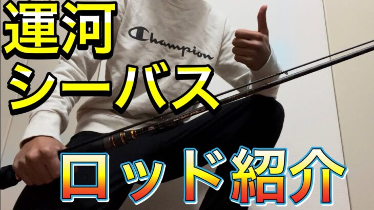 【シーバス釣り】運河シーバスで使うタックル、ルアー紹介！小場所ではやっぱりこのショートロッドだ！