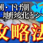 シーバスの上げ潮下げ潮の釣り方地形変化と釣りのタイミング「上げ潮編」