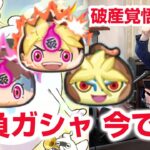 【ぷにぷに攻略】超アップガシャ！大ガマ必要なんです 激辛ボーイの倒し方 ワルシャイン 妖魔人 ケン王 お宝集め 妖怪ウォッチ