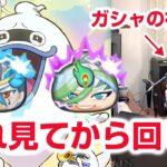 【ぷにぷに攻略】超アップガシャ 聞仲（ぶんちゅう）ようせん 太公望の倒し方  太子元帥（たいしげんすい）の間 妖怪三国志 きまぐれゲート 妖怪ウォッチ