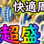 [トレクル]相棒キラー☆8 経験値超マシマシ編成で快適周回[OPTC]