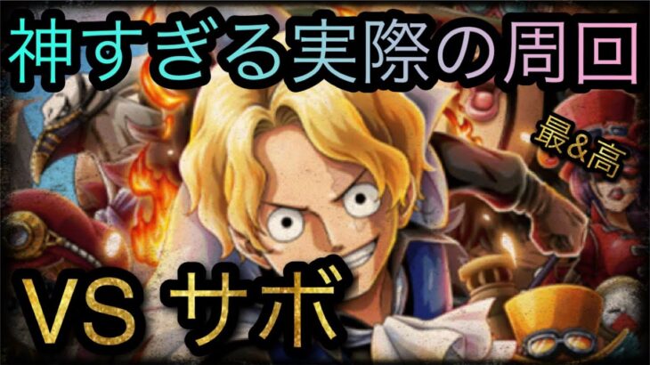 8周年記念トレジャーマップ！VS サボ！神すぎる実際の周回！［OPTC］［トレクル］［ONE PIECE　Treasure　Cruise］［원피스 트레져 크루즈］［ワンピース］