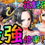 [トレクル]緊急事態! まさかのフェス限ハンコック＆ナミ＆ロビン!? 新時代を告げるとんでも火力で来た[OPTC]