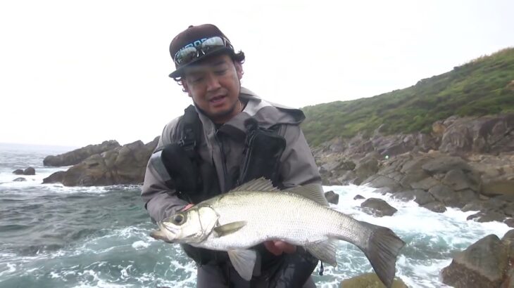 SALT Dreamer#087 鹿児島県種子島 ヒラスズキ