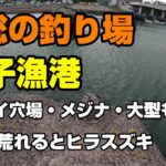 房総の釣り場、白子漁港 クロダイ穴場・メジナ・荒れたらヒラスズキも釣れる