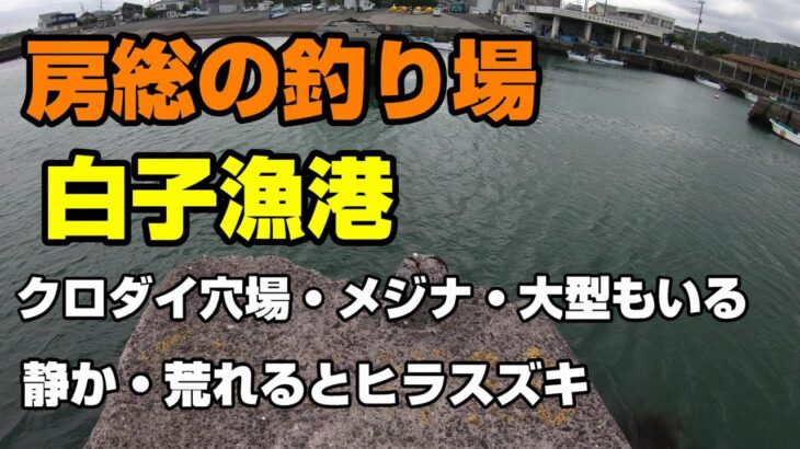 房総の釣り場、白子漁港 クロダイ穴場・メジナ・荒れたらヒラスズキも釣れる