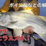 【解説あり】サーフでヒラスズキを釣る【砂ヒラ】