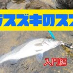 【初心者の方へ！！】ヒラスズキのススメ　入門編Vol.1  三重県の地磯からヒラスズキを狙う！