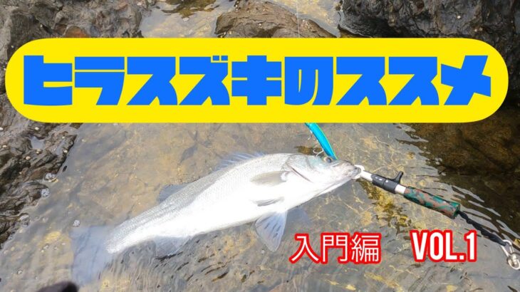 【初心者の方へ！！】ヒラスズキのススメ　入門編Vol.1  三重県の地磯からヒラスズキを狙う！