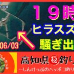 【高知県㊙️釣り情報】１９時から暴れ出すヒラスズキを追って！釣れたけどなんかおかしい（泣）