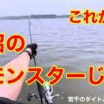 【シーバス釣行】久しぶりの涸沼はやっぱり最高だった件