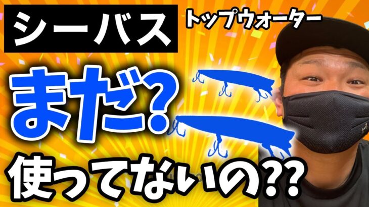 【ガッツリ釣れる】一度は投げたい、人気シーバスルアーの正体!!!【トップウォーター編】