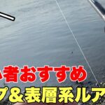 デイゲーム！シーバス初心者おすすめルアーで釣ってみた