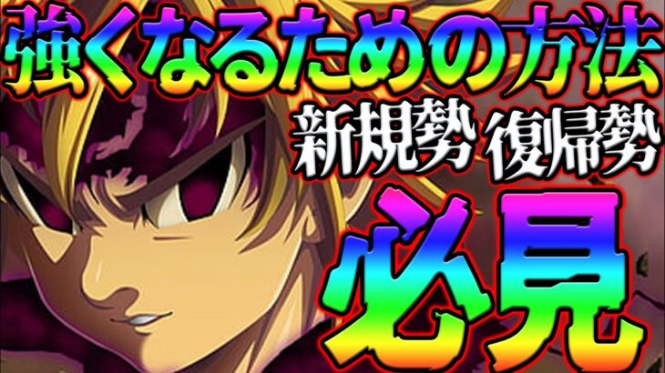 強くなりたい人必見!!より効率よく進めるためにガチ勢がグラクロの全てお伝えします!!復帰、新規必見!!【グラクロ】【七つの大罪グランドクロス】