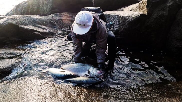 【ロックショア】後編　早春のヒラスズキ狙い!!初場所にてまさかのランカーヒラスズキ！？【神回】