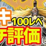 チガウカ氏による100レベシキを見ながら徹底解説【バウンティラッシュ】