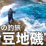 【大人の釣旅】難攻不落の伊豆の海に挑戦してきましたっ〜帰ってきたオオモンハタハンターとイサキ&ヒラスズキはどこいった？編〜（釣れない釣り動画238）