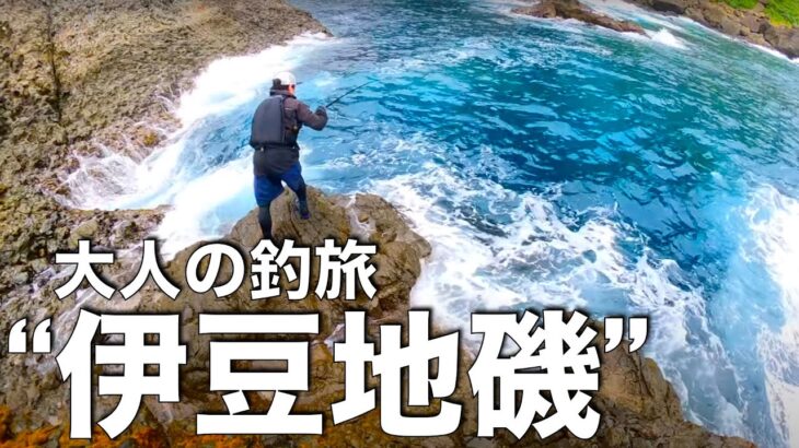 【大人の釣旅】難攻不落の伊豆の海に挑戦してきましたっ〜帰ってきたオオモンハタハンターとイサキ&ヒラスズキはどこいった？編〜（釣れない釣り動画238）