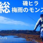 ベタ凪・水温低下•そんな悪条件の中で急なイワシ接岸‼️ミラクルチャンス到来の中で「〇〇〇〇連発」でした・・・・【ランカーヒラスズキを求めてIN房総45話（外房）（南房）（内房）】