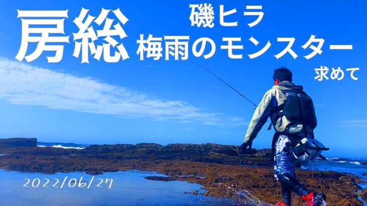 ベタ凪・水温低下•そんな悪条件の中で急なイワシ接岸‼️ミラクルチャンス到来の中で「〇〇〇〇連発」でした・・・・【ランカーヒラスズキを求めてIN房総45話（外房）（南房）（内房）】