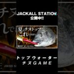 チヌが背ビレを出して追いかけてくる！！ #チニング #ライザーベイト #嶋田仁正 #ジャッカル #JACKALL #shorts