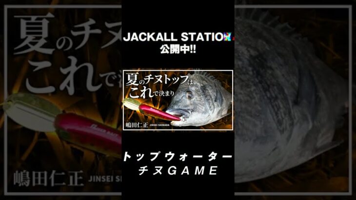 チヌが背ビレを出して追いかけてくる！！ #チニング #ライザーベイト #嶋田仁正 #ジャッカル #JACKALL #shorts