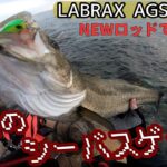 【能登】NEWロッドを使って初夏のシーバスゲーム【LABRAX AGS 】