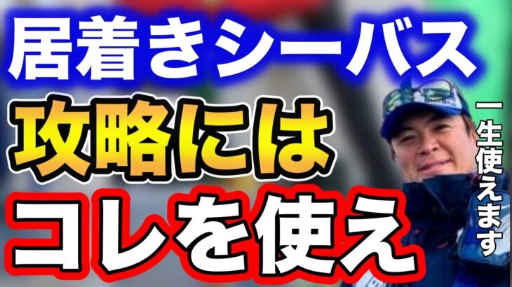 【シーバス】居着きシーバス攻略にはコレを使え！一生使えます！【fishing 村岡昌憲 切り抜き 釣り シーバス fishing】