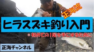 ヒラスズキ釣り入門～正海流～