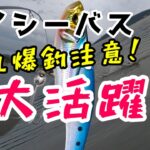 【デイシーバス】鬼丸無双！この夏爆釣中。もしかしたら最強の鉄板バイブかもしれない。