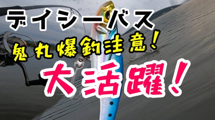 【デイシーバス】鬼丸無双！この夏爆釣中。もしかしたら最強の鉄板バイブかもしれない。