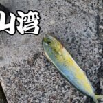 館山湾　遠投カゴ釣り