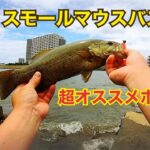 【都内】おすすめバス釣りポイント【川スモール】