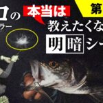 【ハマれば一撃】常夜灯の明暗シーバスを釣る秘密兵器はコレ！ / 去川直稔