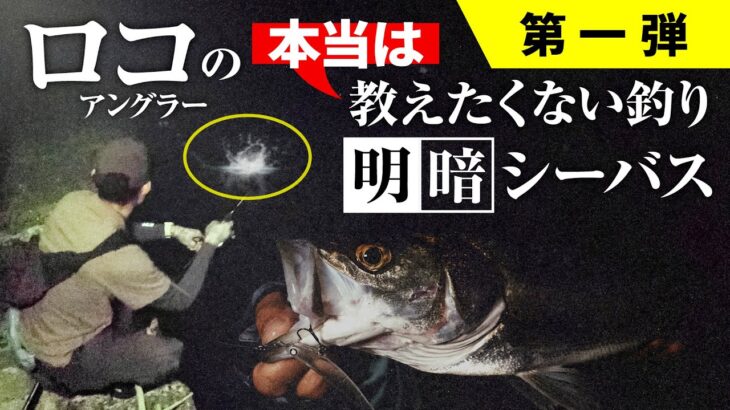 【ハマれば一撃】常夜灯の明暗シーバスを釣る秘密兵器はコレ！ / 去川直稔