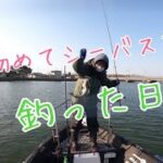 初めてシーバスを釣った日！【ダイソーロッド】