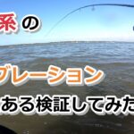 鉄板系のバイブレーションでシーバス釣りの検証をしてみたら…【2022年7月30日】