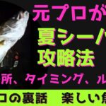 【ルアーシーバス】夏シーバス釣れてる？シーバスを見失った時の考え方　ポイント　おすすめルアー　おすすめ釣り方2選　6月7月8月