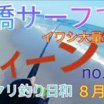 【愛知県釣り】（77）豊橋サーフでコラボ釣り。とうとう覚醒かッ！