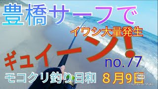 【愛知県釣り】（77）豊橋サーフでコラボ釣り。とうとう覚醒かッ！