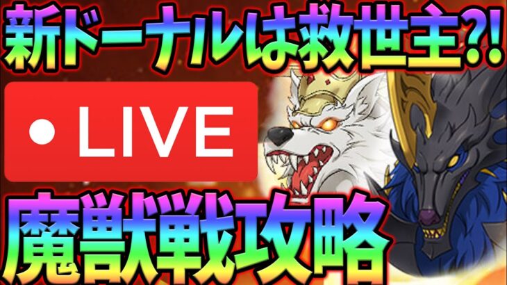 まだまだ探す攻略法！スコルとハティドーナルで討伐生放送！雑談、初見コメお気軽に【七つの大罪グランドクロス#790】