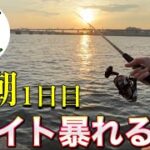 【シーバス釣り】8月上旬、夏のリバーシーバスを狙いに東京湾奥へ。中潮の1日目、下げにエントリーしたら大量のベイトがいた。