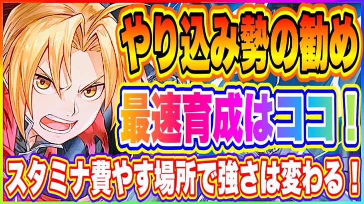 【ハガモバ】早くも大型アプデ！無課金勢がこの先ついていく為に最優先でやらなければいけない最速育成について解説！【鋼の錬金術師 MOBILE】