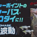 【シーバス・クロダイ】滑らかでリアルな NOMASE((生波動)) が効いた！