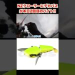 NZクローラーに50UPがバイト！【バス釣り】