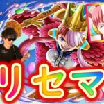 [トレクル]生配信「リセマラ対決! ウタで始める新しい冒険」[OPTC]