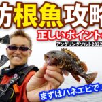 【根魚ライトゲーム／ROCKFISH LIGHT GAME】堤防根魚攻略術・正しいポイントの探り方～村上晴彦（むらかみ・はるひこ）