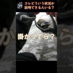 釣れ方が謎すぎて説明できんシーバス#Shorts