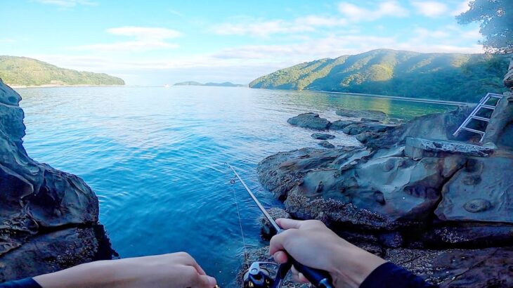 魚影が濃い岩陰で糸を垂らすと…根魚の巣窟【安物アジングロッドで釣り】