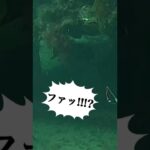 海底の穴に…誰？